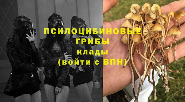 спайс Балахна