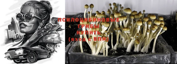 спайс Балахна