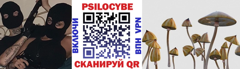 где купить наркоту  блэк спрут ТОР  Псилоцибиновые грибы Psilocybe  площадка формула  Севск 